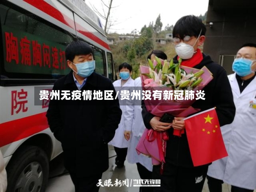 贵州无疫情地区/贵州没有新冠肺炎