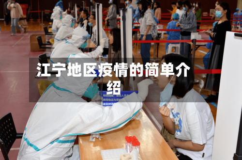 江宁地区疫情的简单介绍