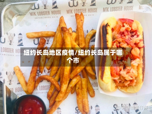 纽约长岛地区疫情/纽约长岛属于哪个市