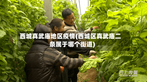 西城真武庙地区疫情(西城区真武庙二条属于哪个街道)-第2张图片