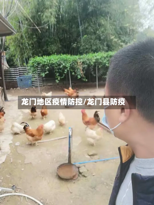 龙门地区疫情防控/龙门县防疫-第3张图片