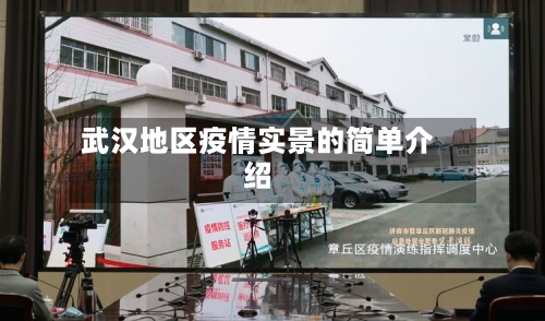 武汉地区疫情实景的简单介绍