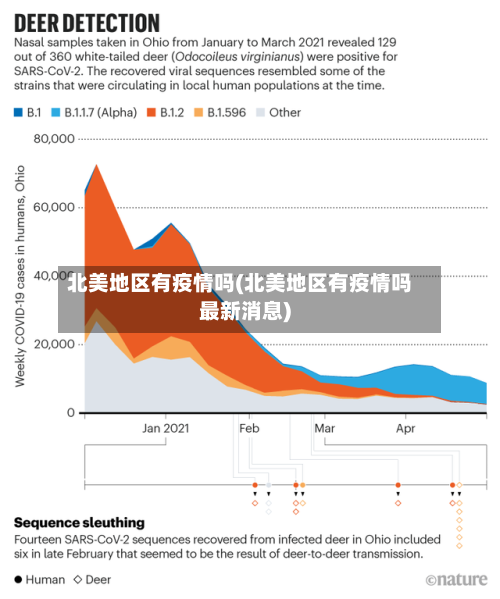 北美地区有疫情吗(北美地区有疫情吗最新消息)-第2张图片