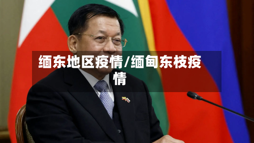 缅东地区疫情/缅甸东枝疫情