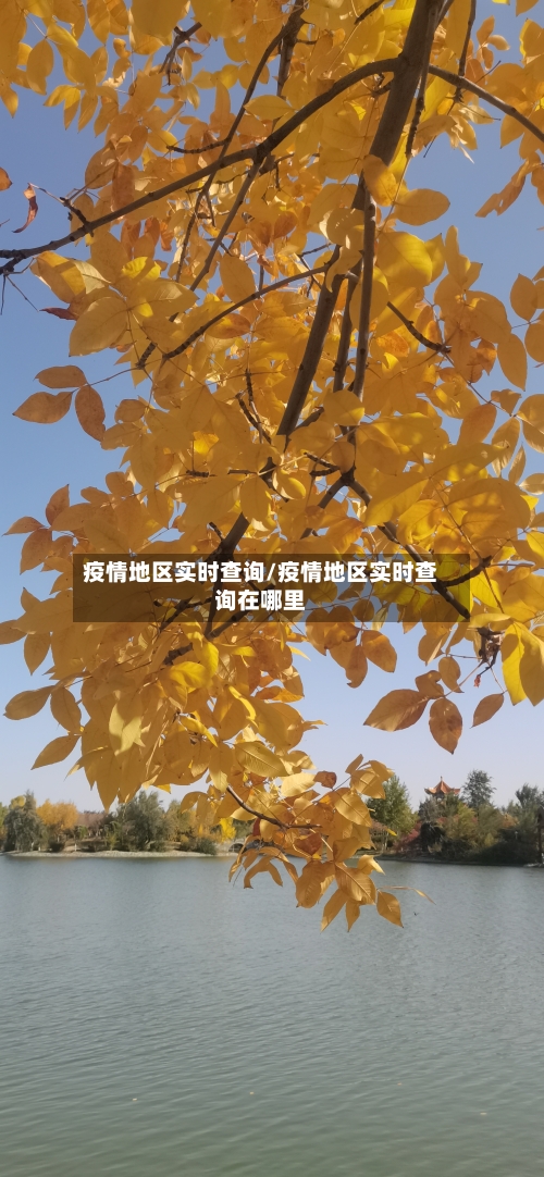 疫情地区实时查询/疫情地区实时查询在哪里