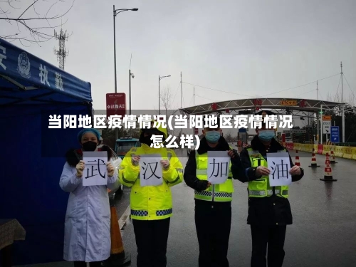 当阳地区疫情情况(当阳地区疫情情况怎么样)