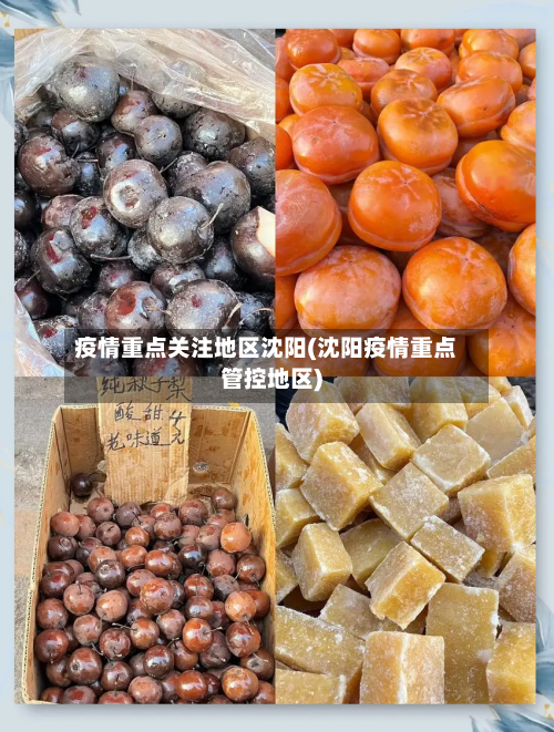 疫情重点关注地区沈阳(沈阳疫情重点管控地区)