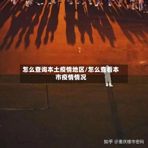 怎么查询本土疫情地区/怎么查看本市疫情情况