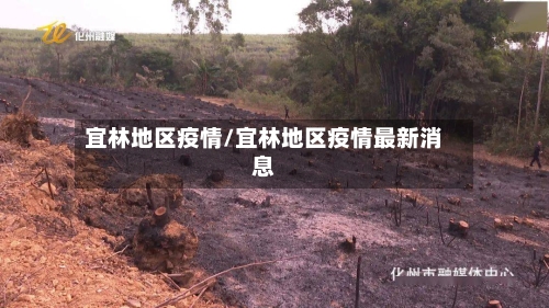 宜林地区疫情/宜林地区疫情最新消息-第2张图片