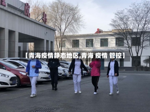 【青海疫情静态地区,青海 疫情 管控】-第3张图片