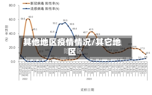 其他地区疫情情况/其它地区