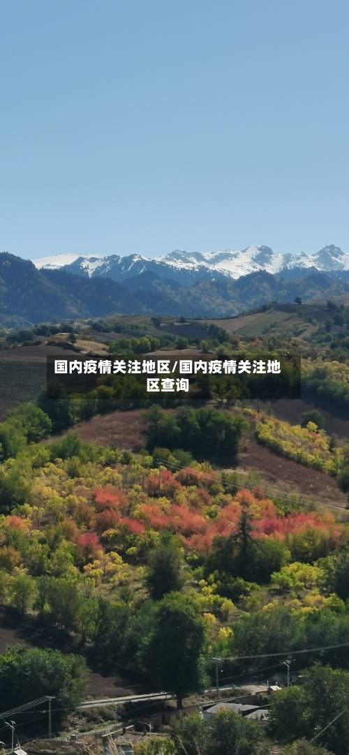 国内疫情关注地区/国内疫情关注地区查询