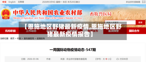 【恩施地区野猪最新疫情,恩施地区野猪最新疫情报告】