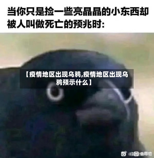 【疫情地区出现乌鸦,疫情地区出现乌鸦预示什么】-第2张图片