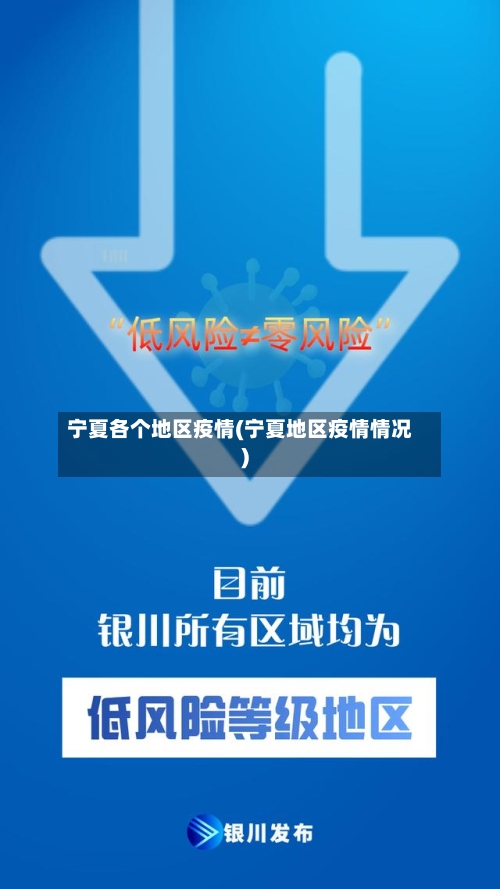 宁夏各个地区疫情(宁夏地区疫情情况)