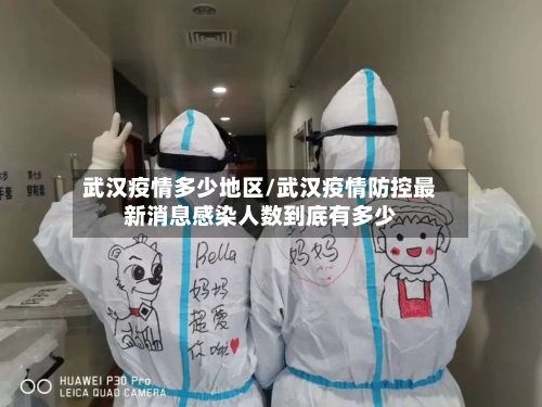 武汉疫情多少地区/武汉疫情防控最新消息感染人数到底有多少-第2张图片