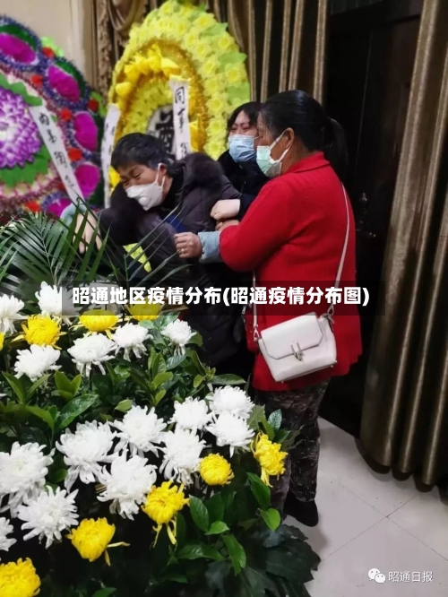 昭通地区疫情分布(昭通疫情分布图)-第2张图片