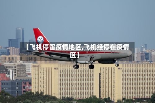 【飞机停留疫情地区,飞机经停在疫情区】-第2张图片