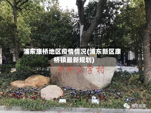 浦东康桥地区疫情情况(浦东新区康桥镇最新规划)