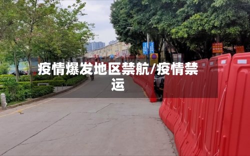 疫情爆发地区禁航/疫情禁运-第3张图片