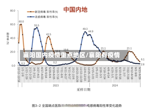 襄阳国内疫情重点地区/襄阳有疫情