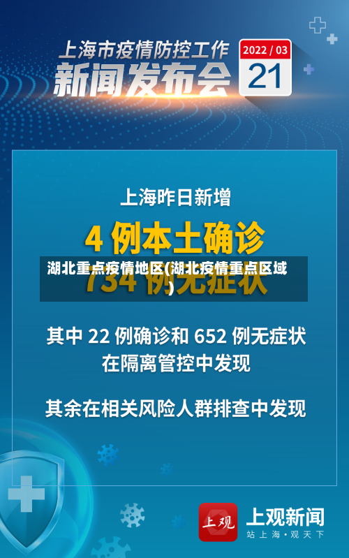 湖北重点疫情地区(湖北疫情重点区域)