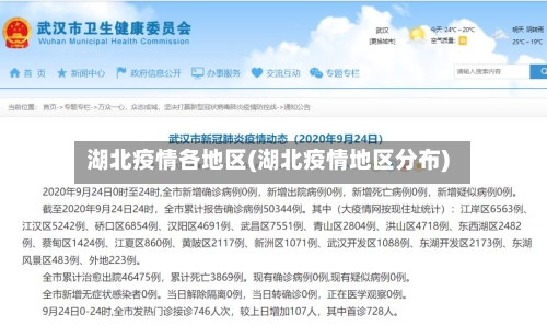 湖北疫情各地区(湖北疫情地区分布)-第2张图片